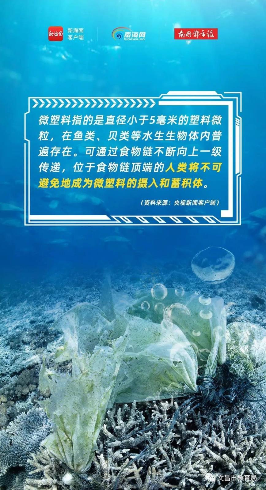 【禁塑科普】塑料的危害到底有多大，一图告诉你“禁塑”知识