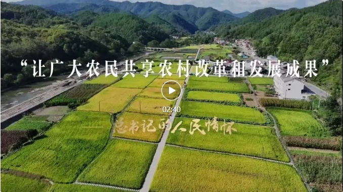 微信截图_20240805111216.png