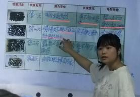图片 12.png