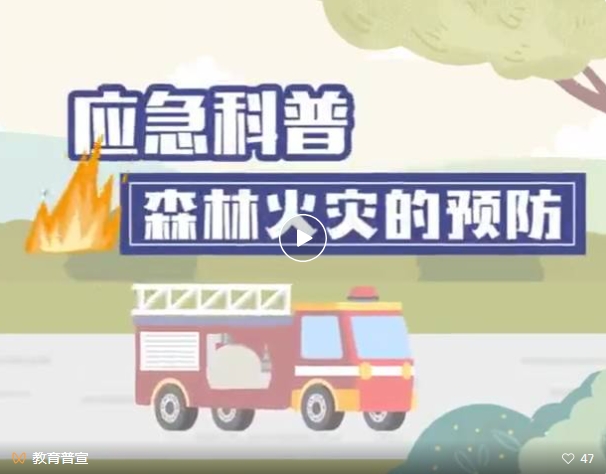 微信截图_20241209171741.png
