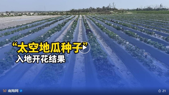 微信截图_20250226100732.png